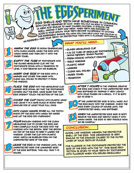 EggSperiment Activity Sheet - Pediatric Dentist in Duncan, SC and Spartanburg County